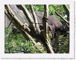 Dierentuin Burgers  Zoo 005 * 3648 x 2736 * (6.86MB)